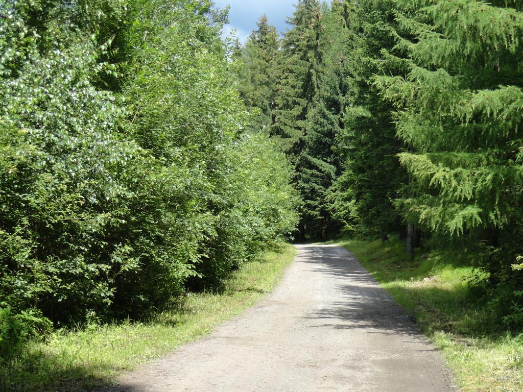 Ski-Bike Certovka Harrachov Exterior foto